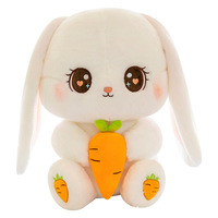 Peluche Lapin Carotte, Coussin Réconfortant Rembourré en Coton PP Lavé, Oreiller de Lit 31cm-50cm, Emballage Sous Vide, Cadeau d'Anniversaire pour Filles