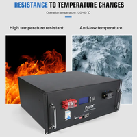 Baterai Surya Lithium LiFePO4 5kWh 10kWh 15KWh dengan BMS Terintegrasi 48V 51.2V 100Ah untuk Rak Server dan Penyimpanan Energi Surya Rumah