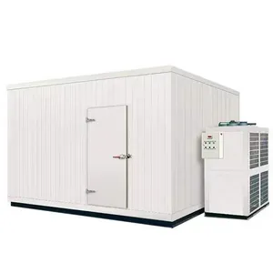 Cheap Price Moved Chilling Room Fresh Keeping Storehouse Blast Freezer Refrigeration Unit Container for Meat Vegetable Fruit