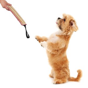 Jouet à mâcher pour chien, coussin, bâton à mordre, outil d'entraînement pour chiots et chatons - Product Image 3