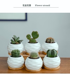 Maceta para flores suculentas, maceta creativa de cerámica, maceta pequeña de porcelana blanca suculenta, maceta para plantas (<span class=keywords><strong>planta</strong></span> no incluida) - Product Image 3