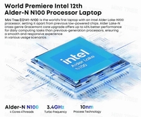 Laptop MiniTree 14 inci Intel Generasi ke-12 N100 Quad Core 3.40 GHz 12GB 16GB DDR5 Onboard 240GB 512GB SSD Keyboard Backlit Cokelat