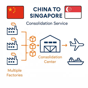 Transporte Marítimo de China a Singapur - Logística Puerta a Puerta DDP para Carga a Granel y Sobredimensionada con Tránsito de 12-18 Días - Product Image 3