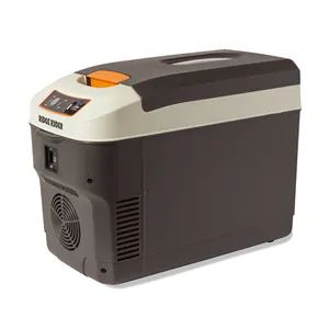 22L Hot Portable Electric Mini Thermoelectric 12v 240v Cooler und Warmer Box für Car