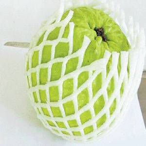 Malla Tubular de Diferentes Tamaños para Tomate, Durazno, Melón, Mango, Guayaba, Malla de Espuma EPE - Product Image 2