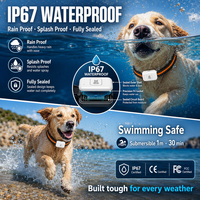 Traceur GPS pour animaux de compagnie G63, plateforme de suivi de localisation gratuite, application gratuite, suivi de localisation en temps réel, surveillance de la santé