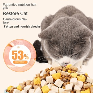 Cibo per Gatti Liofilizzato Direttamente dalla Fabbrica 5,00kg & 10kg Snack Nutrienti - Product Image 2