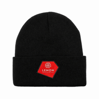 Chapeau beanie personnalisé avec logo brodé, faible MOQ, haute qualité, doux, chaud, unisexe, pour le camping, les activités de plein air et la vie quotidienne
