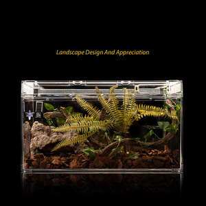 Barbarous BG Growth ZJDS-P Terrarium cylindrique en <span class=keywords><strong>verre</strong></span> pour reptiles, lézards et animaux rampants - Product Image 4