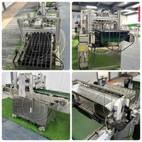 Machine automatique de remplissage de plateaux de semis, semoir commercial pour légumes et fleurs, ligne de plantation pour pépinière