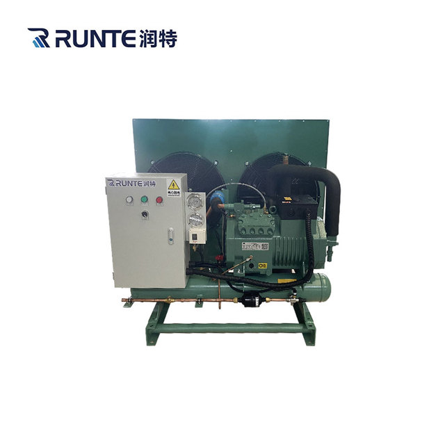 Commercial Low-Energy Compressor Bitzer Brand Condensing Unit for Sale