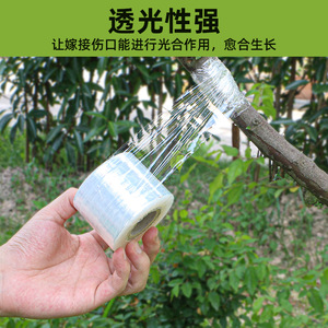 Pe Grafting Film 3cm 5cm <b>Waterproof</b> Self <b>Adhesive</b> For Fruit Tree Industrial Use - Product Image 2