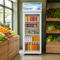 Réfrigérateur et congélateur OEM 380L, équipement de cuisine commerciale, armoire frigorifique pour restaurant, congélateurs pour la vente au détail