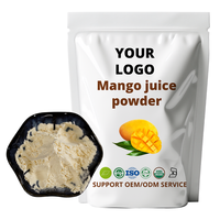 Mango Poeder Zuivere Fruitpoeder voor Dranken Smoothies Bakken Natuurlijke Mango Smaak Voedingsmiddelenkwaliteit Groothandel Leverancier
