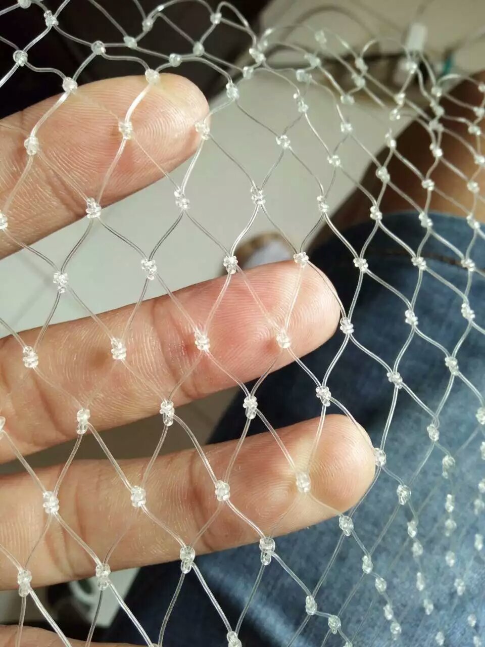 transparente
