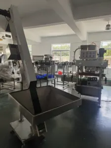 Machine d'emballage de 3kg en acier inoxydable à haut rendement pour poudre de Moringa
