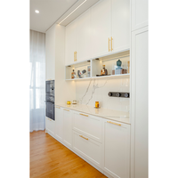 Meubles de cuisine haut de gamme populaires et armoires de rangement personnalisables, style Shaker modulaire, avec charnières à fermeture amortie