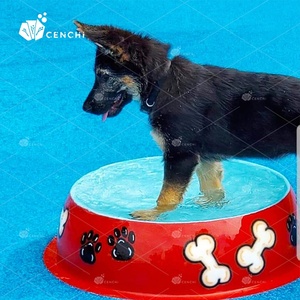 <span class=keywords><strong>Parc</strong></span> <span class=keywords><strong>aquatique</strong></span> pour chiens Cenchi, aire <span class=keywords><strong>de</strong></span> jeux pour chiens, <span class=keywords><strong>parc</strong></span> d'agilité pour chiens, fontaine extérieure, arroseur, aire <span class=keywords><strong>de</strong></span> jeux publique pour chiens - Product Image 6