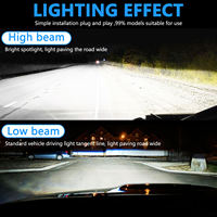 Phare Led D1S série D Canbus lumière LED D2S D3S D4S D8S Hid ampoules de voiture au xénon vente en gros de la plus récente qualité
