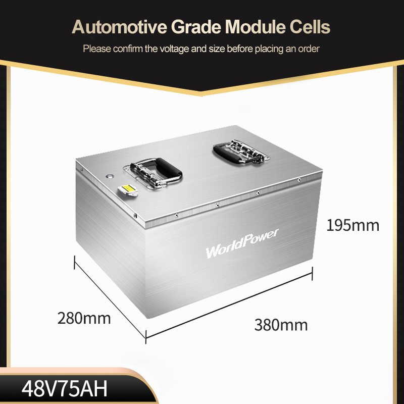 Worldpower OME 48V 60v 50ah 80ah 100ah литий-ионный аккумулятор электрический велосипед электровелосипед с литиево-ионной батареей, 20000 Вт литий для взрослых