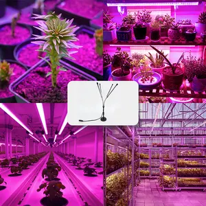 IP65 Rated 100W Full Spectrum LED Grow Light For Indoor Plants Veg Bloom Application Commercial LED Grow Light