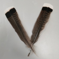 Plumas de Cola de Pavo Salvaje de Alta Calidad al por Mayor, de 25-30 cm, para Atado de Moscas, Manualidades, Sombrerería y Decoración de Tocados