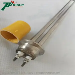 DC 12V 24V 48V 300W 600W 900W Water Tubular Heater Screw-in Immersion Flange Water Heater