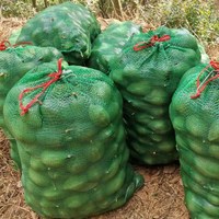 Zware, ademende verpakkingsnetzakken op maat, 10kg, 25kg, 50kg PP Leno-mesh zakken voor uien, aardappelen, groenten, fruit, sinaasappels, citroenen