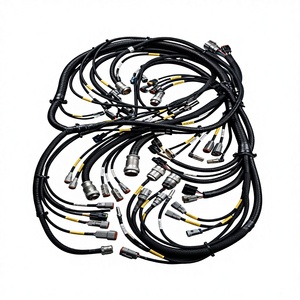 OEM Özel Otomotiv Kablo Demeti, Oluklu Borulu Su Geçirmez Elektrik Kablo Grubu - Product Image 3