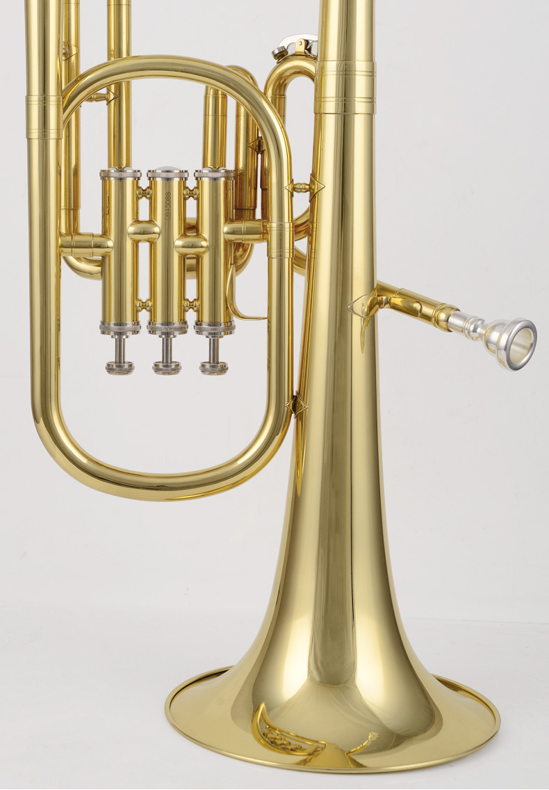 Professional factory price Eb key stainless steel piston alto horn