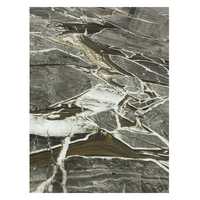 Matériau pur respectueux de l'environnement résistant à la corrosion panneau mural en feuille de marbre pvc uv
