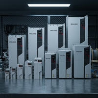 Variateur de fréquence WOLONG triphasé 380V-480V 0,75kW~22kW VFD avec contrôle vectoriel IP20 pour moteurs AC