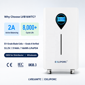แบตเตอรี่เก็บพลังงาน LiFePO4 16kWh 51.2V 314Ah สำหรับรถยนต์ไฟฟ้า ชนิด Blade Cell อายุการใช้งาน 8000 รอบ รองรับการชาร์จเร็ว 200A พร้อมระบบ BMS รับผลิตแบบ OEM ขายส่ง - Product Image 1
