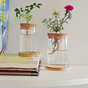 Terrario de Escritorio en Oferta, Estación de Propagación de Plantas de Aire, Florero con Base de Corcho para Decoración de Jardín - Product Image 6