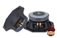 Haut-parleurs professionnels Caisson de basses de 8 pouces avec bobine vocale de 2 pouces Équipement audio professionnel haute puissance