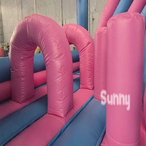 Castillo Inflable Comercial de Juguete con Diseño de Personajes de Dibujos Animados, Castillo Hinchable Azul para Niños con Tobogán y Zona de Salto - Product Image 5