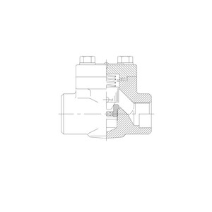 Conexión forjada de tamaño 1.1/2'' con extremos de acero al carbono para uso industrial que permite el flujo directo y previene el flujo inverso - Product Image 1