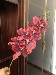 Nuevo diseño de gama alta 3D 9 cabezas Phalaenopsis seda Artificial púrpura Rosa Flor de ocid para la decoración del hogar de la boda - Product Image 6