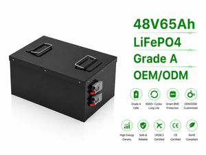 Precio de Fábrica, Paquete de Baterías de 48V/51.2V 60Ah 3072Wh 1C para Carrito de Golf, Almacenamiento Solar, Fabricante de Baterías de Litio OEM LFP4850 - Product Image 4