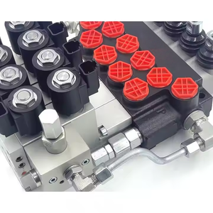 Vanne de commande manuelle électro-hydraulique P40 6m70, vanne directionnelle monobloc P40, performance et efficacité inégalées - Product Image 5