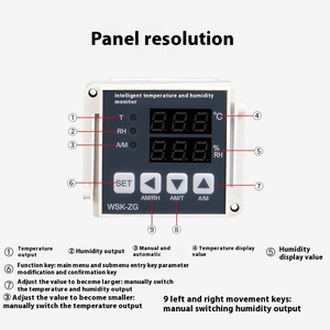 Controlador de Temperatura y Humedad Digital Inteligente de Plástico WSK-ZD/ZG, Anti-condensación, Instrumento de Alta Precisión OEM - Product Image 2