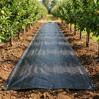 Tapis anti-mauvaises herbes en PP tissé, résistant aux UV, usage intensif, direct usine, pour l'agriculture et l'aménagement paysager, en rouleau