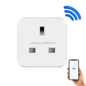 Großhandel aktiviert Tuya/Smart Life Wifi Plug UK/EU/US Arbeit mit Alexa Google Home