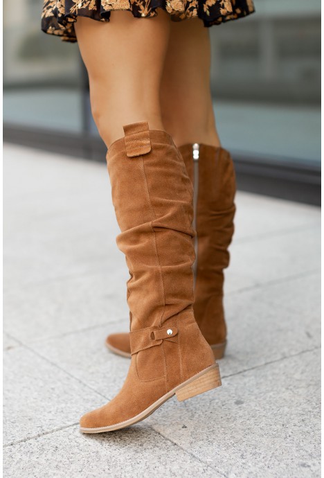 Camel