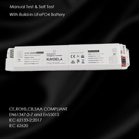 Módulo de conversión de energía de emergencia LED de larga duración 2W 3W con autoprueba de 3 horas y batería LiFePO4 para luz lineal Triproof Batten