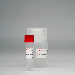 Foreasy HS Taq ADN polimerasa Super HotStar Taq enzima mezcla <span class=keywords><strong>para</strong></span> <span class=keywords><strong>PCR</strong></span>/QPCR - Product Image 2