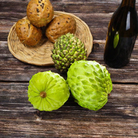 Konsentrasi tinggi rasa buah Premium Aroma Sapodilla alami minyak-100% murni, Aroma buah tropis untuk makanan & Kosmetik