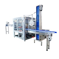 Ligne de production professionnelle pour la mise en bouteille de petites boissons, machine de remplissage, de bouchage et d'étiquetage de bouteilles d'eau