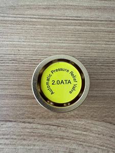Automatic Pressure Relief Valve for Home Use 1.5ATA 1.7ATA 2.0ATA for <strong>Hyperbaric</strong> <strong>Oxygen</strong> HBOT <strong>Chamber</strong> - Product Image 4