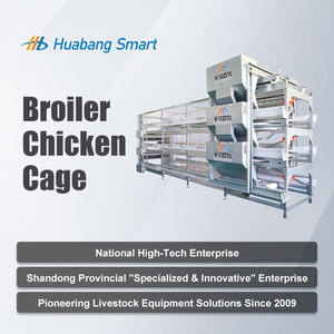 Satılık otomatik tavuk ekipmanları tavuk çiftliği Broiler tavuk kafesi - Product Image 6